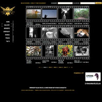 Smirnoff Black Rare Character Photo Competition Gallery Screenshot